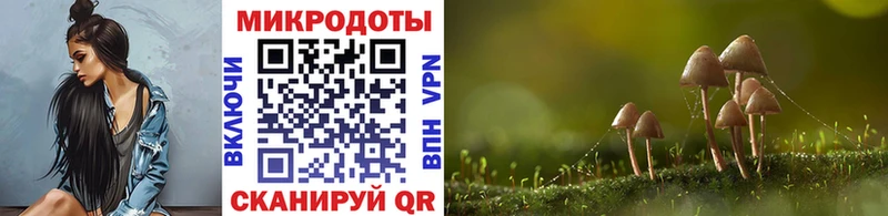 МЕГА онион  где продают наркотики  Санкт-Петербург  Псилоцибиновые грибы ЛСД 