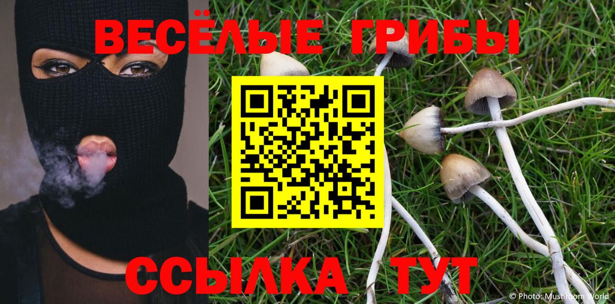 Галлюциногенные грибы ЛСД Санкт-Петербург