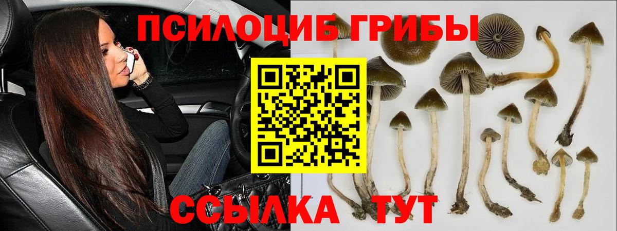 Псилоцибиновые грибы Psilocybine cubensis  Псилоцибиновые грибы Cubensis  Вход с VPN  Санкт-Петербург 